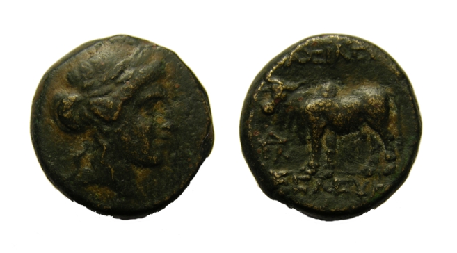 Seleucus II