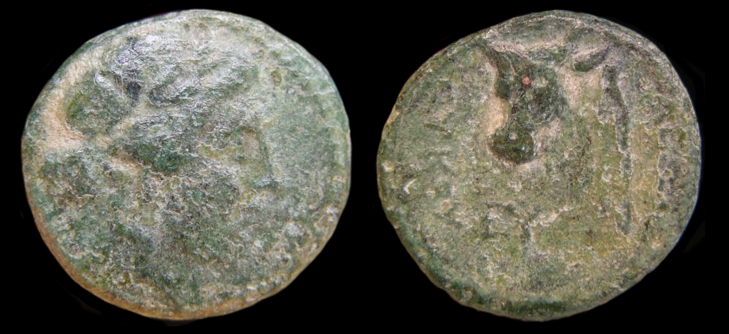 Seleucus II